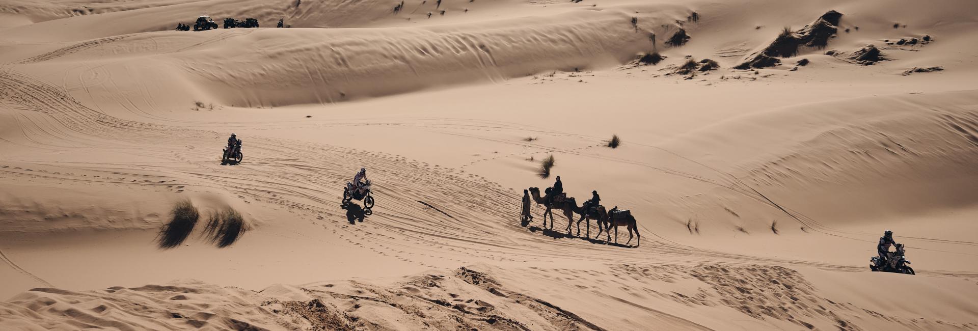 Rally motorcycles and a camel caravan in the sand dunes